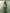 seven up 7up 500 ML